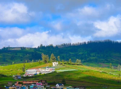 Travel Assistance & Local Tours